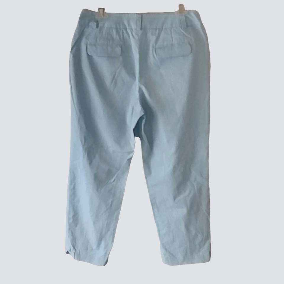 Pendleton Light Blue Pants